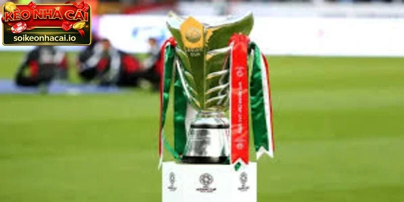 Điểm qua các đội tham gia Asian Cup 2027