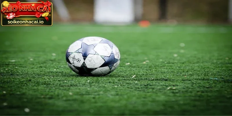 Theo dõi biến động cược là cách soi kèo bóng đá hay