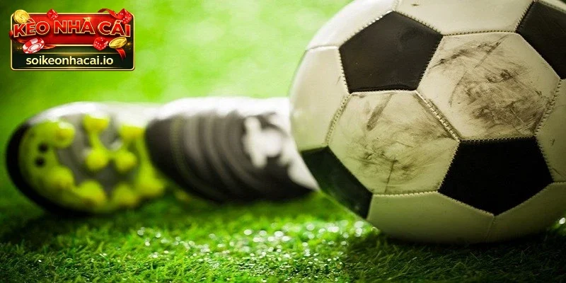 Cược Live Là Gì? Hướng Dẫn Chơi Cá Cược Trực Tuyến