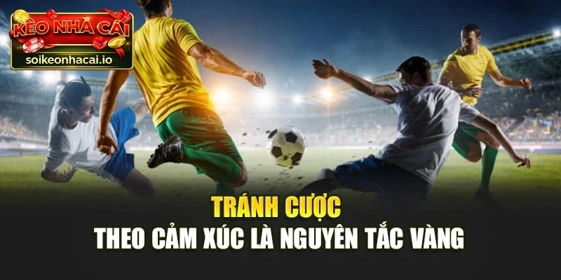 Bí quyết chơi kèo đội ghi bàn từ các cao thủ