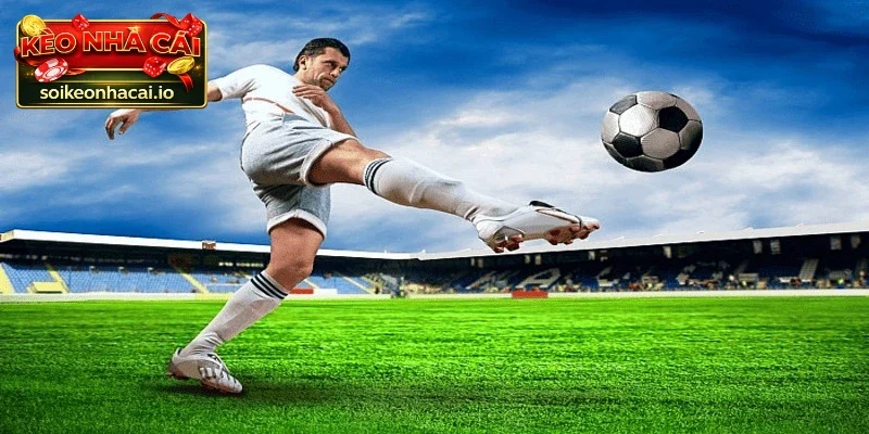 Lịch thi đấu giúp người hâm mộ theo dõi và sắp xếp dễ dàng