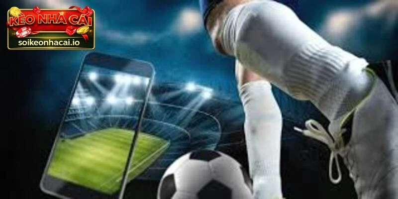 Cách để tham gia soi kèo bóng đá